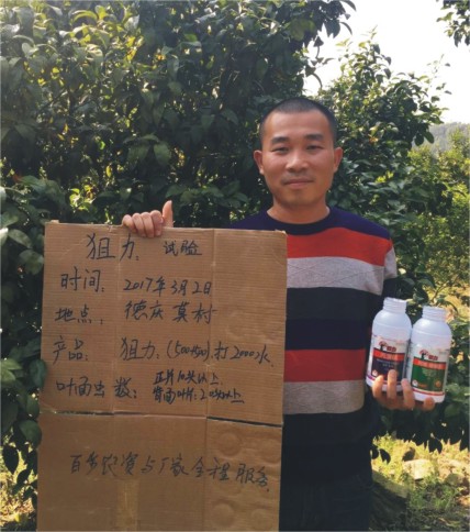 成功案例