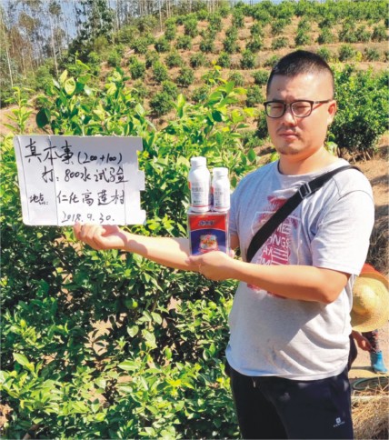 成功案例
