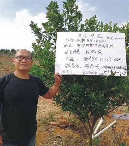 成功案例