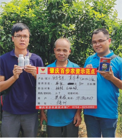 成功案例