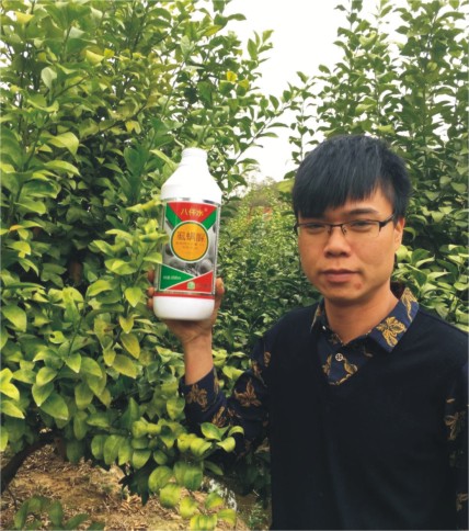 成功案例