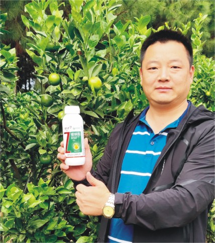成功案例
